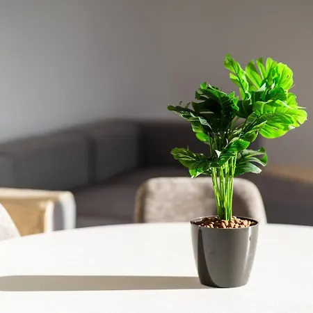 Guestready - The Ocean El Cid 4*