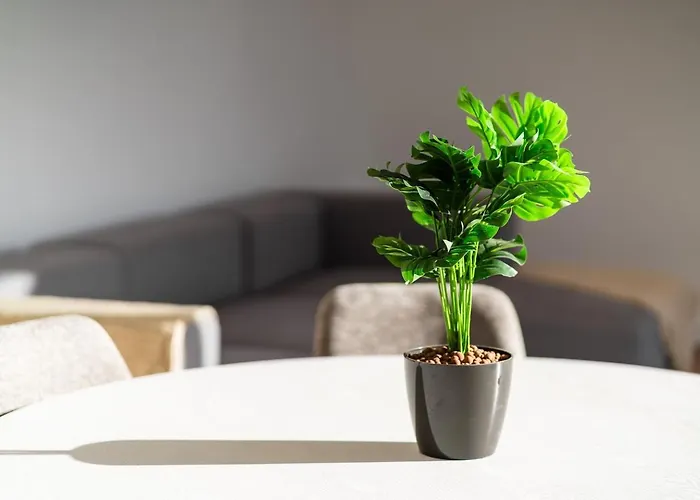 Guestready - The Ocean El Cid 4*