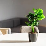 Guestready - The Ocean El Cid 4*