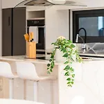 Guestready - The Ocean El Cid 4* Fajã da Ovelha