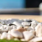 Guestready - The Ocean El Cid بيت ضيافة Fajã da Ovelha