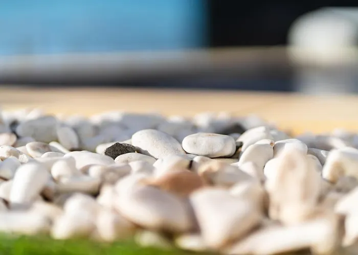 Guestready - The Ocean El Cid Guest house Faja da Ovelha